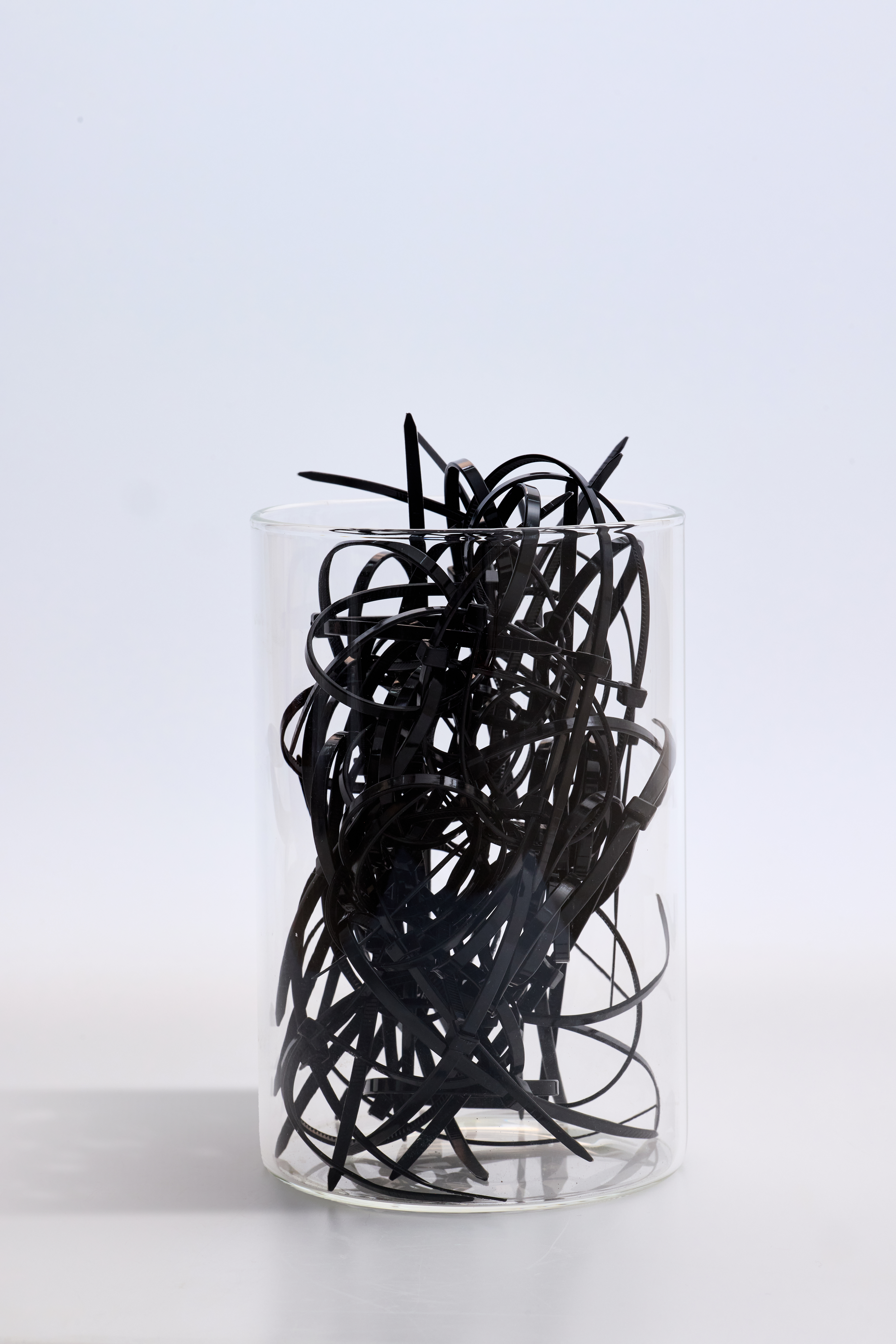 Anima-in anima installation by oneg - glass and mixed media exploring body exterior and interior